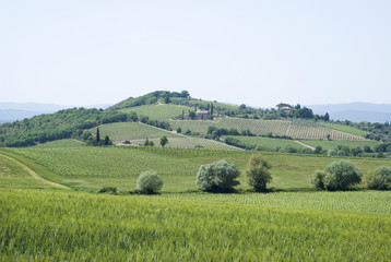 Fototapeta na wymiar Agricultural landscape in Tuscany, Italy