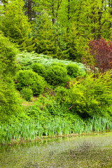 Lake of the Woods in the spring