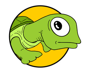 small turtle