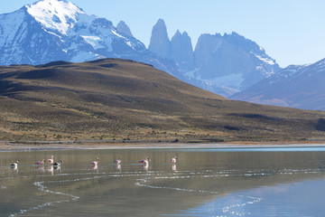 National Park Torres del Paine, Patagonia, Chile