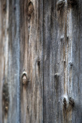 Wooden texture