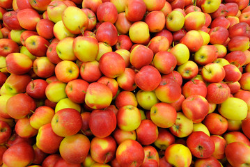 Yummy pile of apples in a market stall