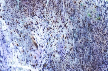 watercolor painted background