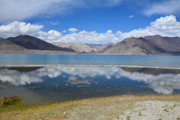 Pangong Lake, Ladakh