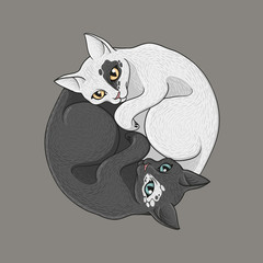 Feline yin-yang symbol