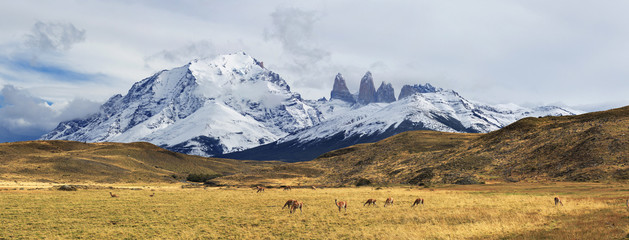 Torres del Paine National Park, Patagonia, Chile
