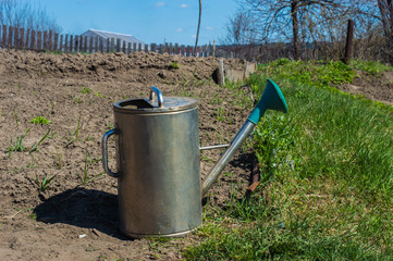металлическая лейка с зелёной насадкой стоит на грядке