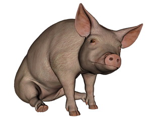 Fototapeta premium Pig sitting - 3D render
