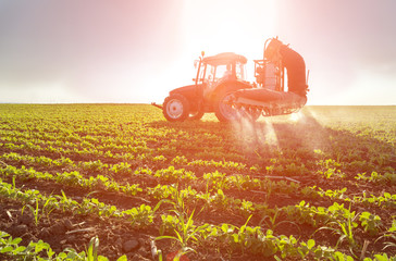 Tractor spraying soybean crops