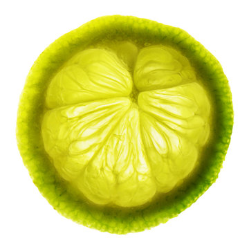 fetta di limone verde