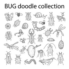 cartoon insect bug icon, vector illustration.