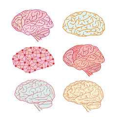  Human brain icon set, vector illustration