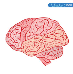  Human brain icon, vector illustration