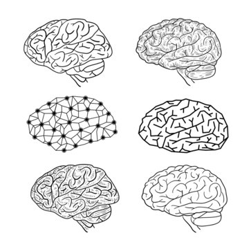  Human brain icon set, vector illustration
