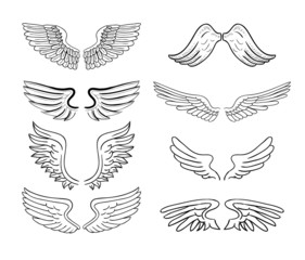 Fototapeta premium wings set, vector illustrations.