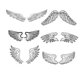 wings set, vector illustrations.