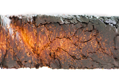 Crust of the burnt toast