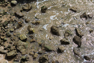 Wild Sea, Cascais, Portugal