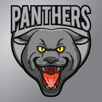 Panthers mascot