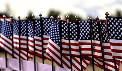 Row of United States Flags