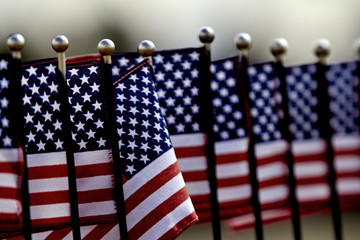 United States Flags in a row