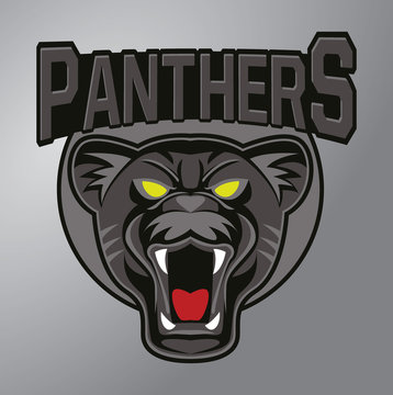 Panther mascot