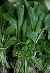 green vegetables 