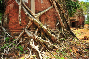 Angkor Koh Ker Temple of Cambodia
