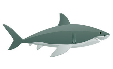 Obraz premium Shark vector image