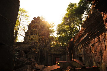 Angkor Ta Prohm Temple of Cambodia