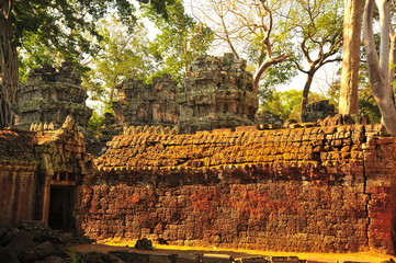 Angkor Ta Prohm Temple of Cambodia
