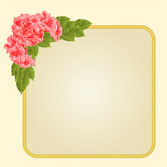 Golden frame with pink hibiscus vector 