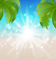 Fototapeta na wymiar Summer holiday background with sunlight and palmtree