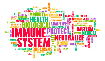 Immune System