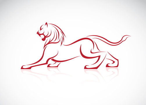 Vector image of an lion design on white background
