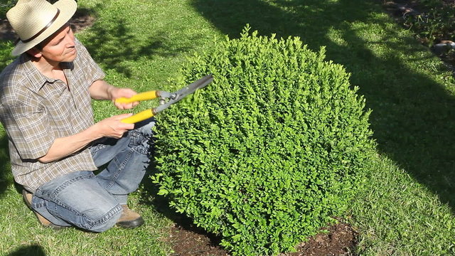 jardinier avec chapeau de paille