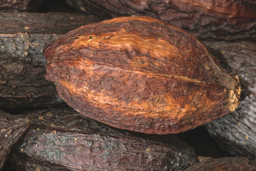 Cocoa pods