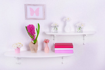 Flower on shelves on white wall background