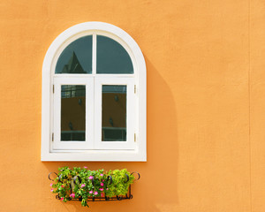 White window and flower hanging with orange wall