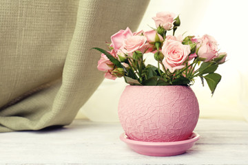 Beautiful roses in pot on windowsill