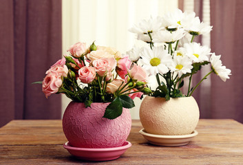 Beautiful flowers in pots on fabric background
