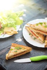 Cheese sandwich