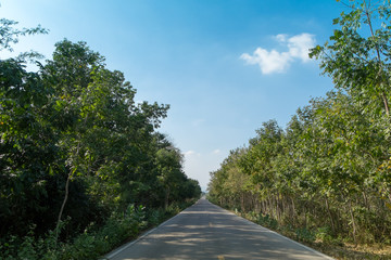 Countryside road with forest view