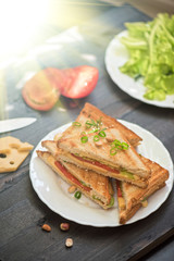 Cheese sandwich