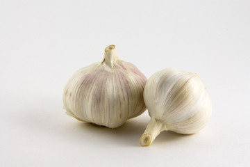 Obraz premium garlic