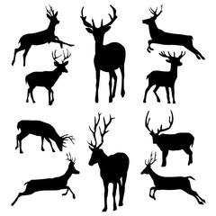 Deer Silhouette Pack