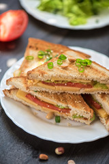 Cheese sandwich