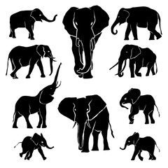Naklejka premium Elephant Silhouette Pack
