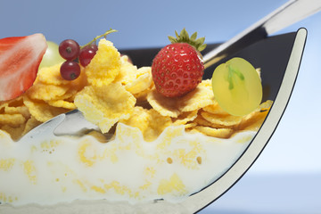 corn flakes and fruit