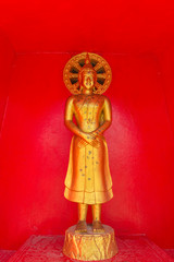 the standing gold buddha statue  with the red background